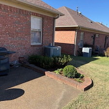 Landscape-Renovation-Budget-Friendly 1